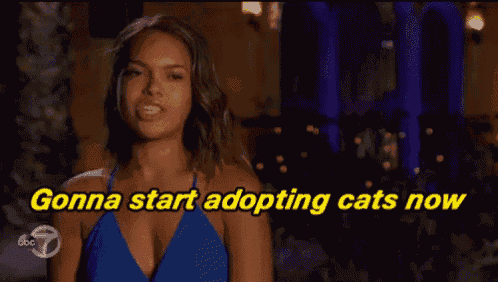 a woman in a blue dress with the words gonna start adopting cats now above her