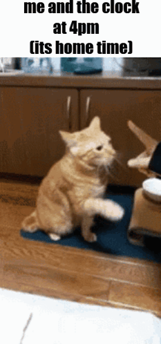 Home Time GIF - Home Time Its Home Time GIFs