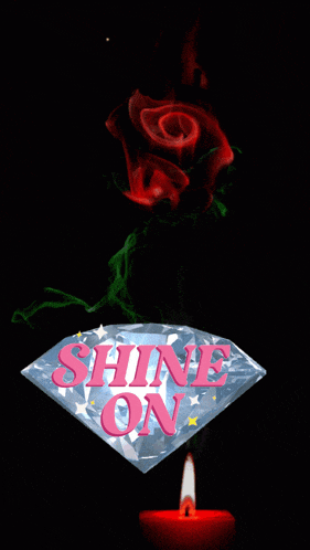 a picture of a rose and a diamond that says beautiful shine on