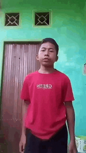 a young boy wearing a red shirt is standing in front of a green wall .