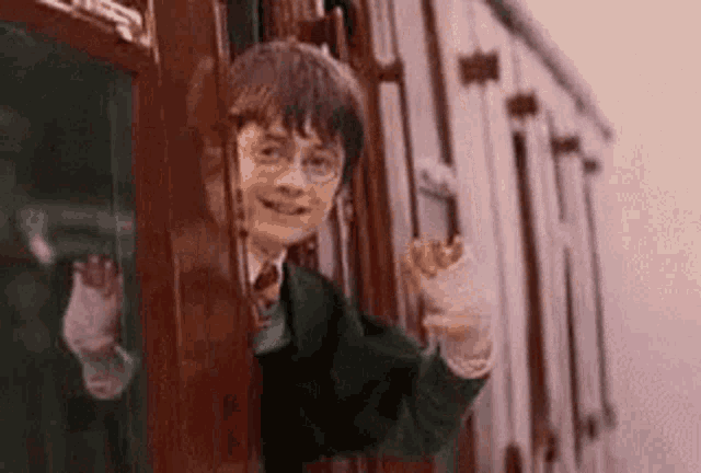 Harrpotter Flipped GIF