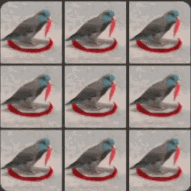 a picture of a bird holding a red heart