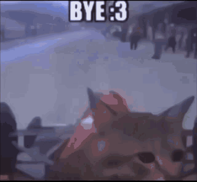 a cat is looking at the camera with the words bye 3 written on the bottom .