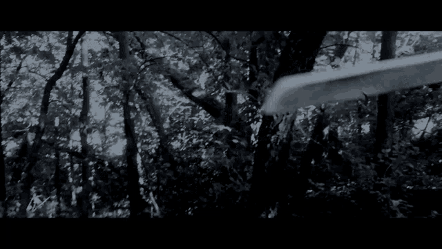 a black and white photo of a person riding a bike in the woods