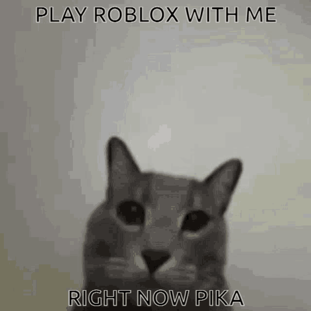Pika Roblox GIF - Pika Roblox Cat GIFs