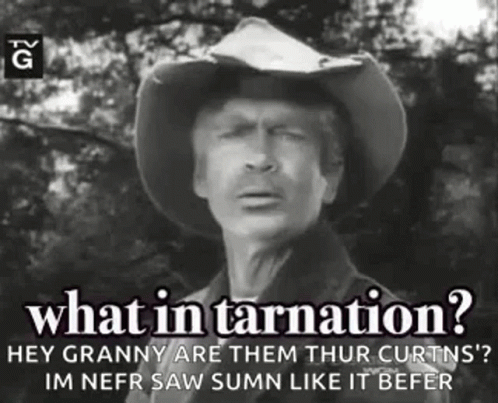 What In GIF - What In Tarnation GIFs