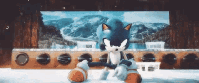 sonic the hedgehog is sitting in front of a laundromat with a picture of a mountain in the background .