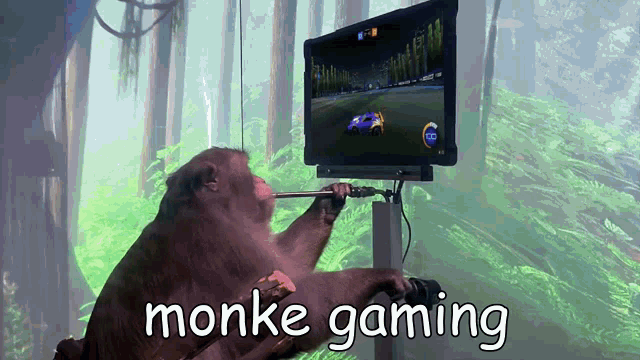 Monke Gaming GIF - Monke Gaming Monkey GIFs