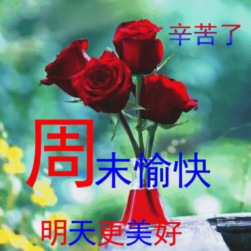 祝福 Rose GIF - 祝福 Rose Flower GIFs
