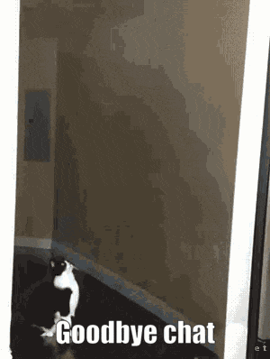a black and white cat standing in front of a wall with the words goodbye chat written on it