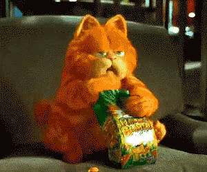 加菲猫 吃 可爱 GIF - Garfield Eat Cute GIFs