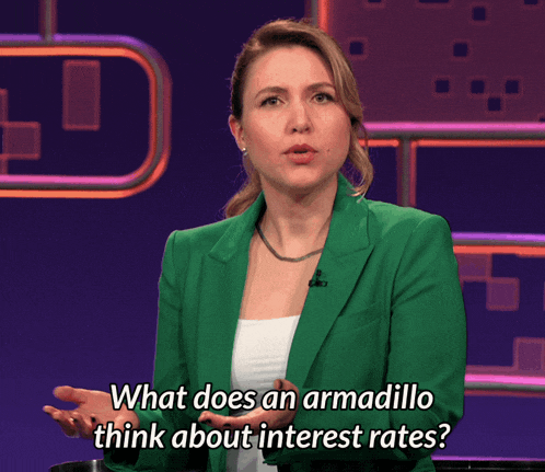 What Does An Armadillo Think About Interest Rates After Midnight GIF - What Does An Armadillo Think About Interest Rates After Midnight Taylor Tomlinson GIFs