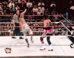 two wrestlers are in a wrestling ring with a wwe logo in the corner