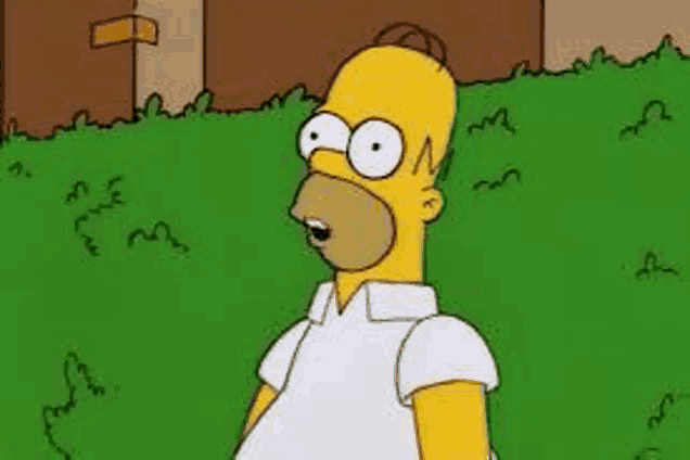 homer simpson is standing in the grass with his mouth open and his eyes wide open .