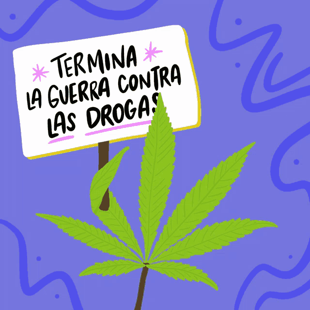 a sign that says termina la guerra contra las drogas next to a marijuana plant