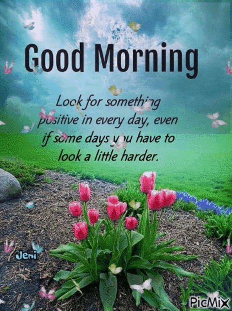 a picture of flowers and butterflies with a good morning message