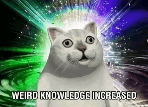 Cat Meme Knowledge Meme - Cat meme Knowledge Weird knowledge - Discover ...