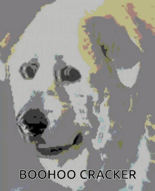 Boohoo Cracker GIF - Boohoo Cracker Sad Ok GIFs