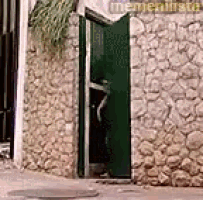 a green door with a stone wall behind it