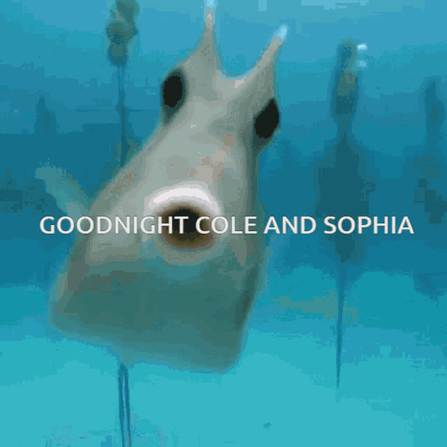 a picture of a fish with the words goodnight cole and sophia on it