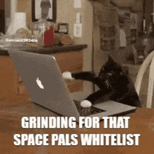 Space Pals Space Pals Whitelist GIF - Space Pals Space Pals Whitelist Whitelist GIFs