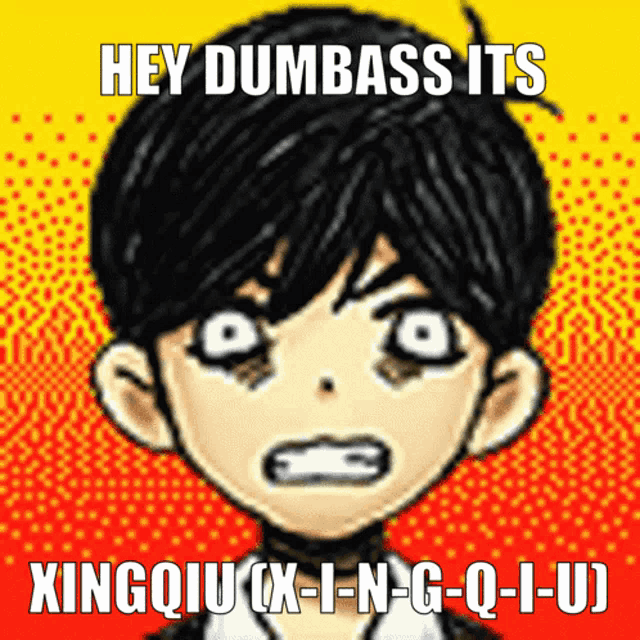 a cartoon of a boy with the words hey dumbass its xingquu x-i-n-g-q-i-u