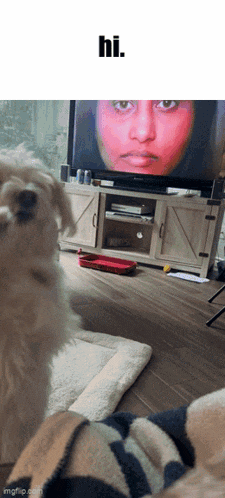 a dog standing in front of a tv with the words hi written on the top