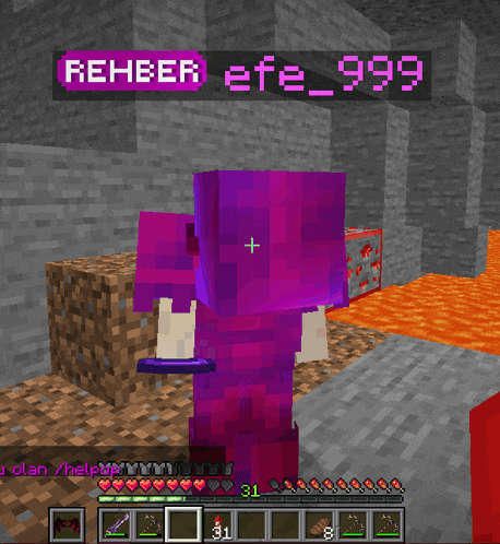 a purple character in a minecraft game with the name rehber efe_999