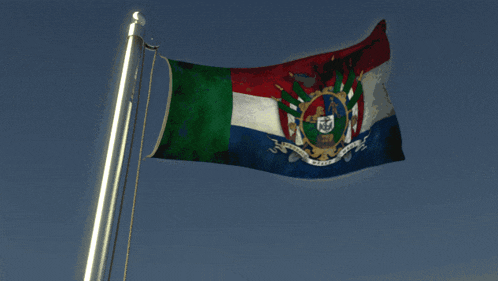 a flag with a coat of arms on it is flying