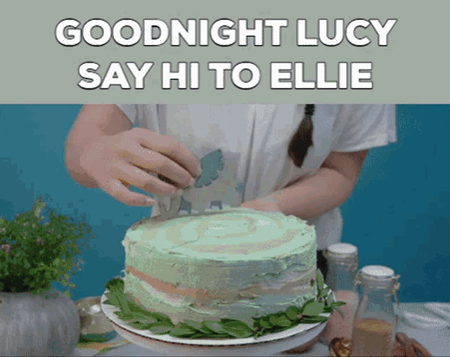 a person is cutting a cake with the words goodnight lucy say hi to ellie