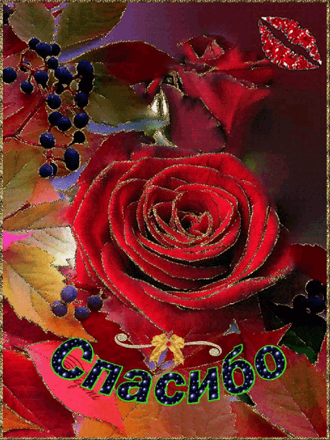 a red rose is surrounded by leaves and the word спасибо