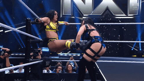 two women are wrestling in a wrestling ring with a wwe logo behind them