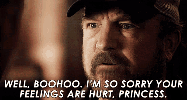 a man with a beard says well boohoo i 'm so sorry your feelings are hurt princess ..