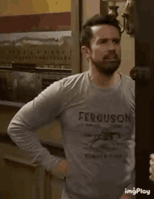 a man with a beard wearing a gray ferguson shirt is standing in a kitchen .