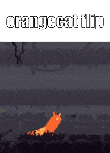 a picture of a fire with the words orangecat flip on the bottom