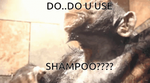 Douuseshampoo Alphashampoo GIF