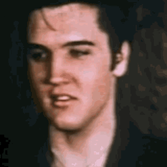Elvis Elvis Presley GIF