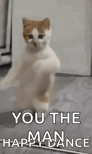a cat is dancing on its hind legs with the words `` you the happy dance '' written on it .