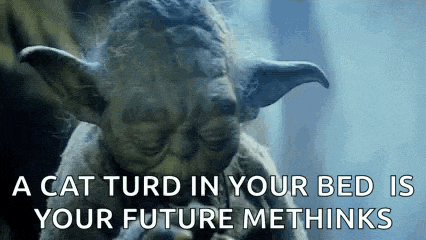 a cat turd in your bed is your future methinks , according to yoda .