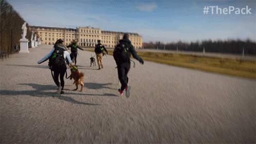 Running The Pack GIF - Running The Pack Sprinting GIFs