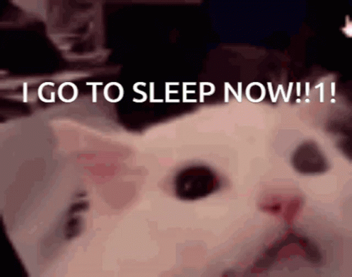 Cat Scream Go To Sleep GIF