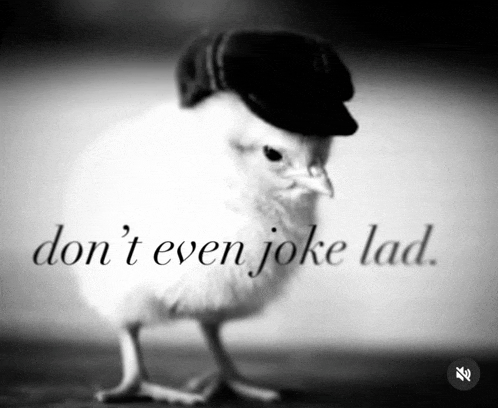a black and white photo of a chicken wearing a hat with the words " don t even joke lad "