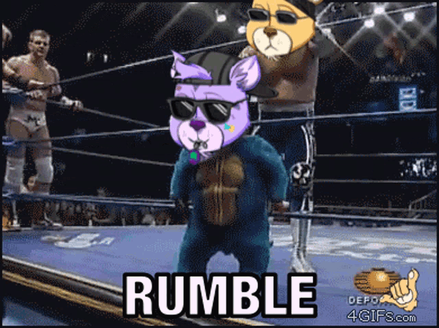 Radcats Rumble GIF - Radcats Rumble GIFs