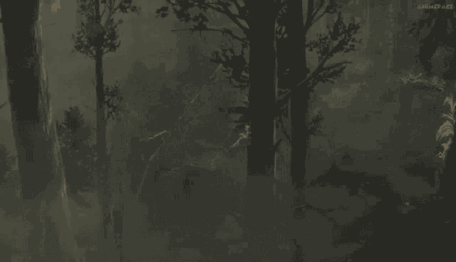 a forest with trees and a fire in the background .
