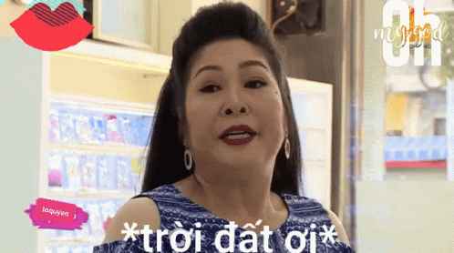 Hong Van Troi Dat Oi GIF - Hong Van Troi Dat Oi GIFs