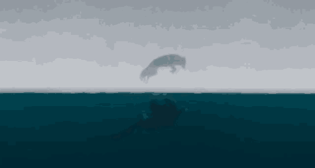a person is jumping into the ocean with a shadow of a shark behind them .