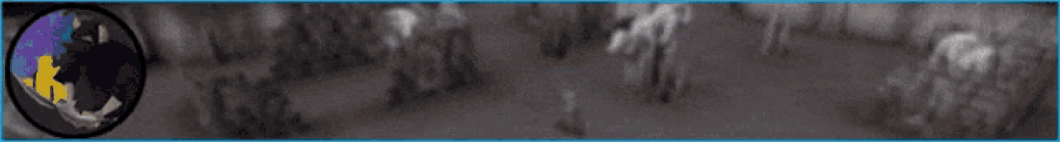 a banner for osrs services shows a blurry background
