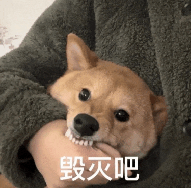 a person is holding a dog with chinese characters on it
