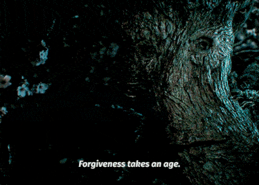 a tree trunk with the words forgiveness takes an age