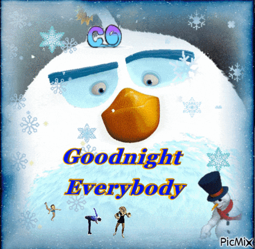 a picture of a snowman with the words goodnight everybody
